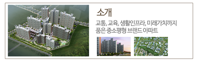 소개, 교통, 교육, 생활인프라, 미래가치
